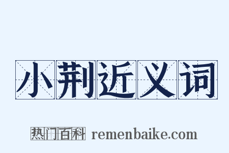 小荆近义词是什么意思的图片